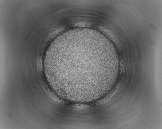 X0000112110453200908251215