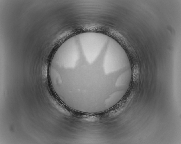 X0000112110454200908251215