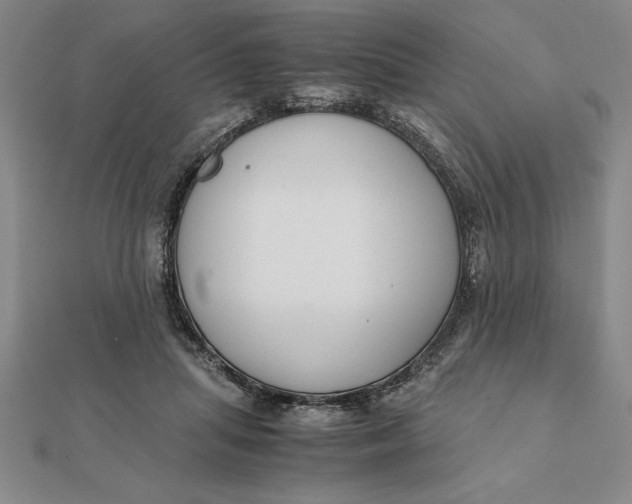 X0000112110455200908251215