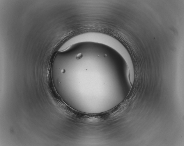 X0000112110456200908251215