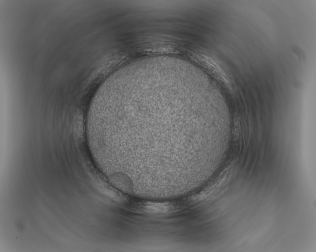 X0000112110457200908251215