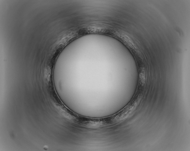 X0000112110458200908251215