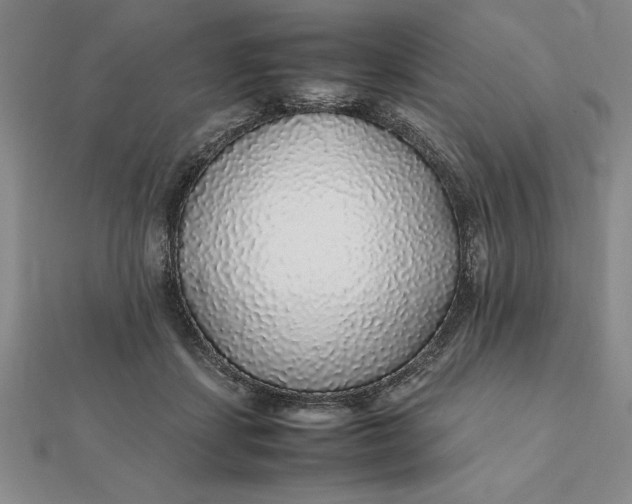 X0000112110459200908251215