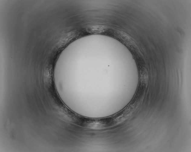 X0000112110460200908251215