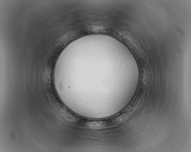 X0000112110461200908251215