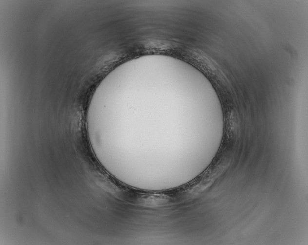 X0000112110463200908251215