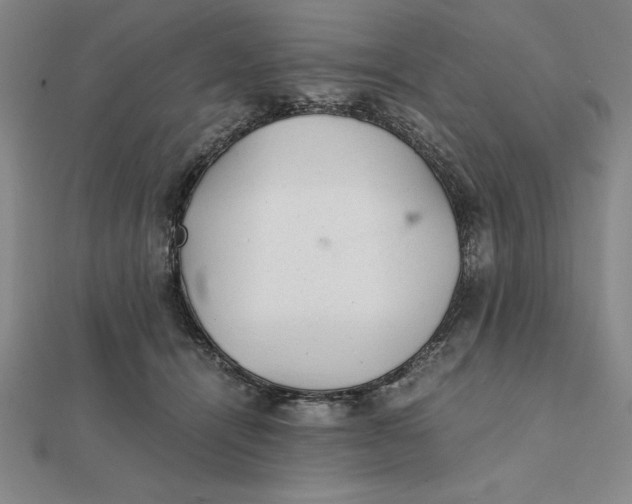 X0000112110464200908251215