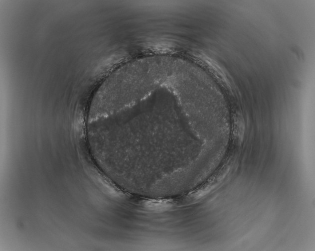 X0000112110465200908251215