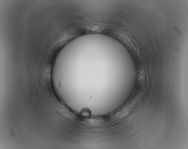 X0000112110466200908251215