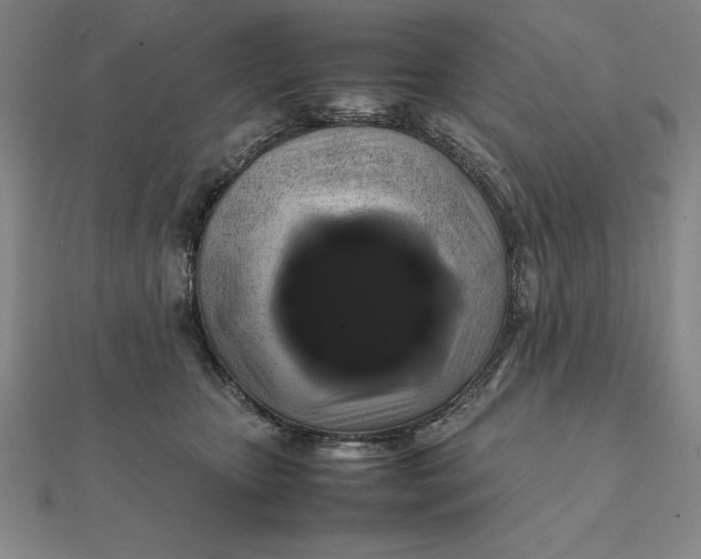 X0000112110467200908251215