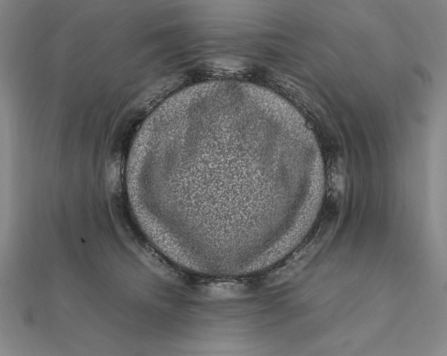 X0000112110468200908251215