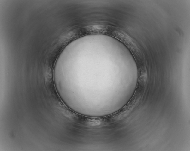 X0000112110469200908251215