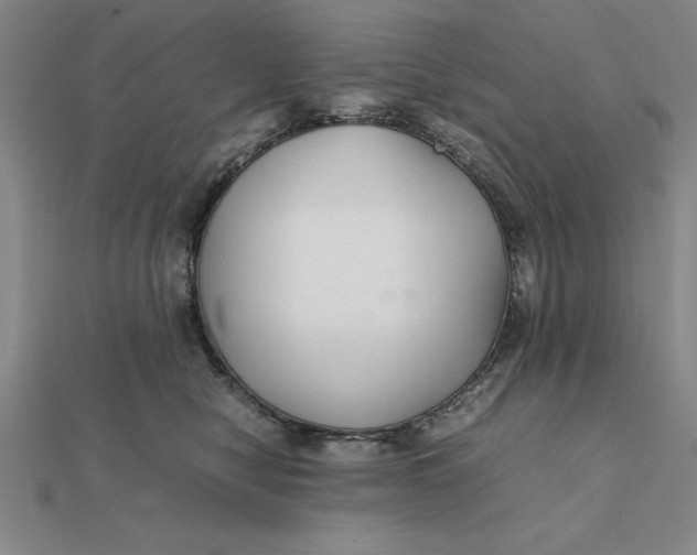 X0000112110470200908251215