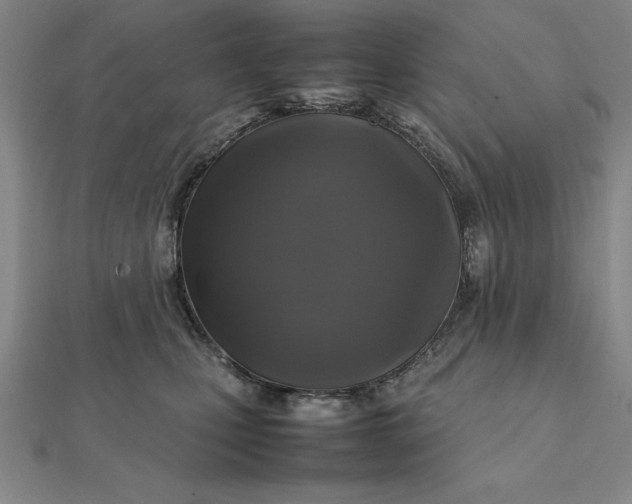 X0000112110471200908251215