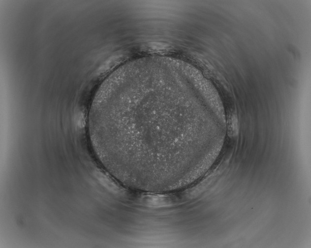 X0000112110472200908251215