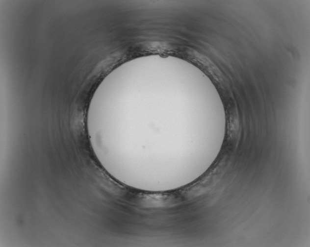 X0000112110473200908251215