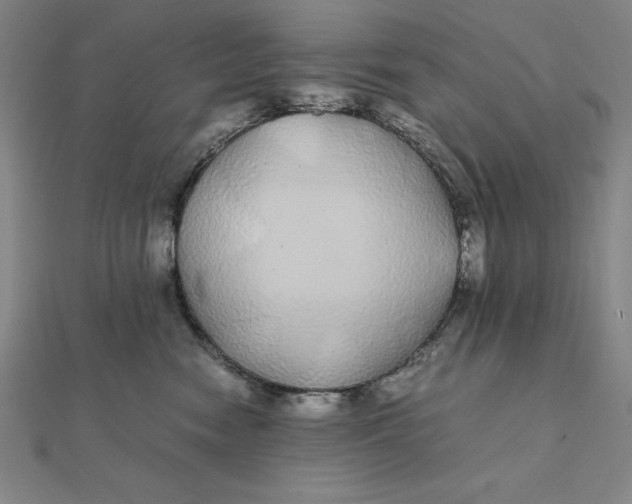 X0000112110474200908251215