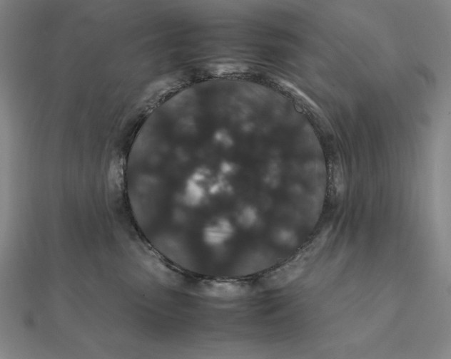 X0000112110475200908251215