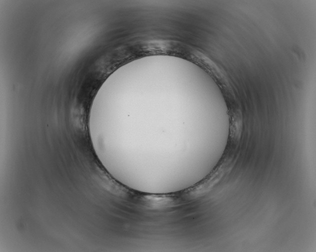 X0000112110477200908251215