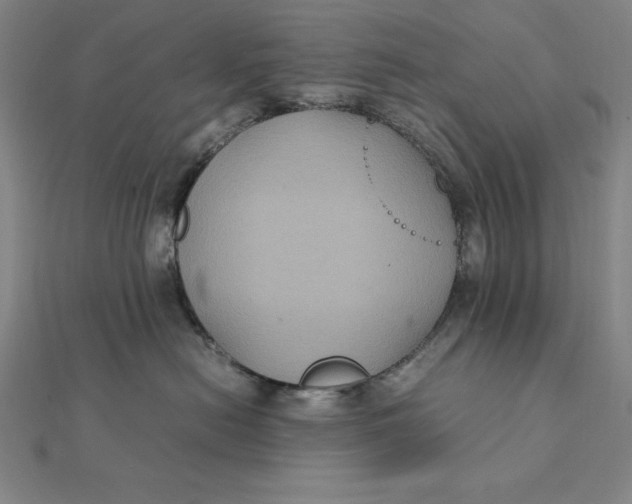 X0000112110478200908251215