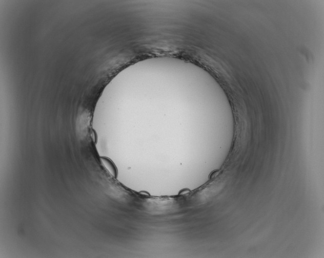 X0000112110480200908251215