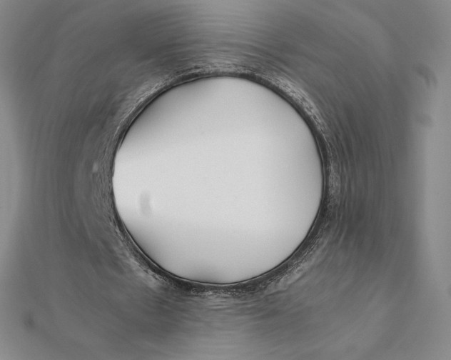 X0000112110481200908251215