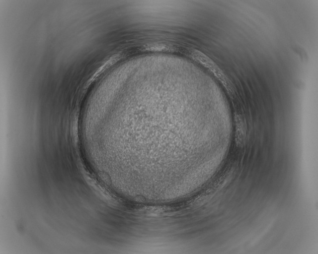 X0000112110482200908251215