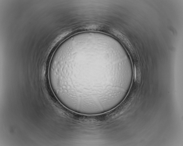 X0000112110483200908251215