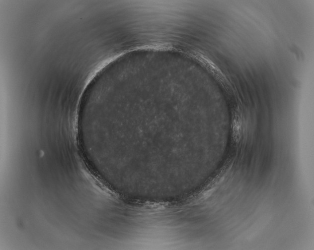 X0000112110484200908251215