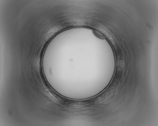 X0000112110485200908251215