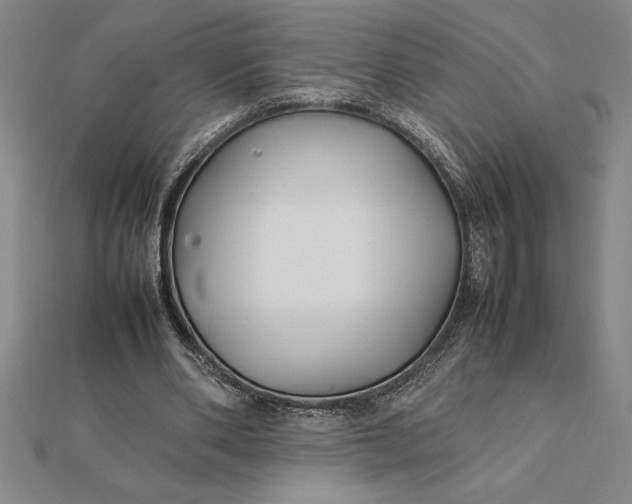 X0000112110486200908251215