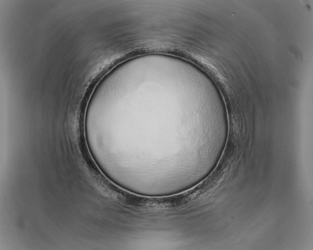 X0000112110487200908251215