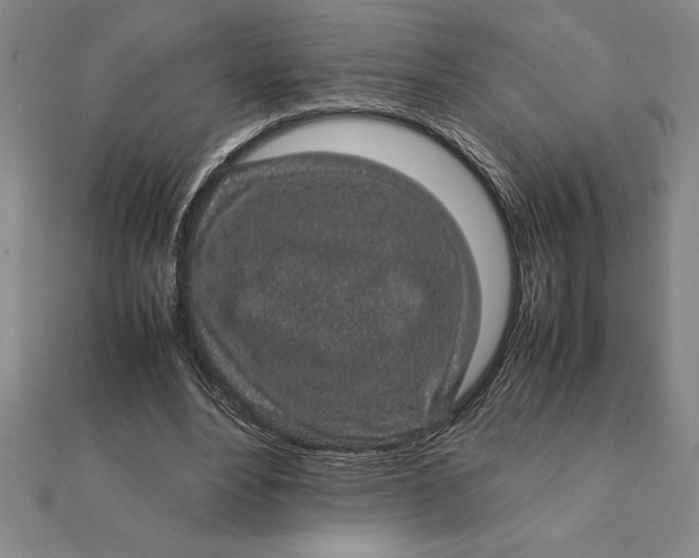 X0000112110488200908251215