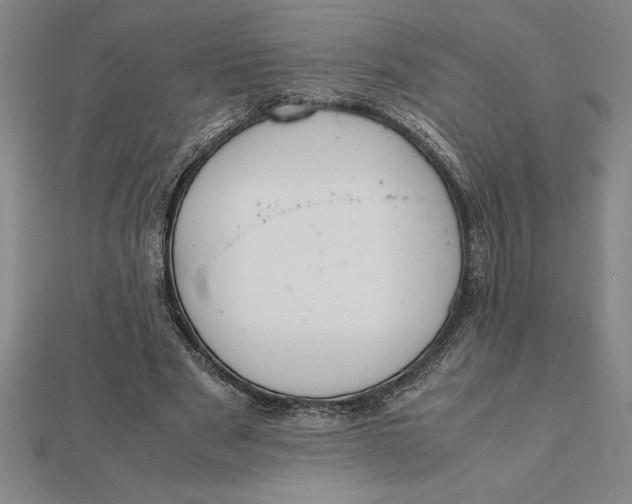 X0000112110489200908251215