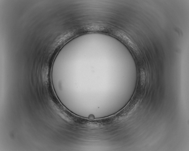 X0000112110490200908251215