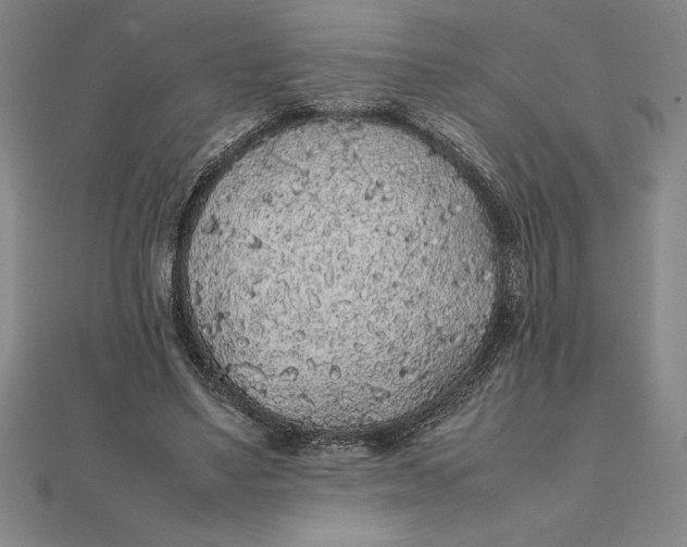 X0000112110491200908251215