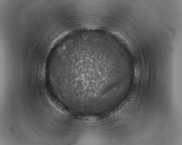 X0000112110492200908251215