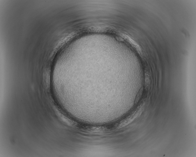 X0000112110493200908251215