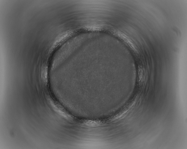 X0000112110494200908251215