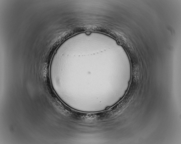 X0000112110495200908251215