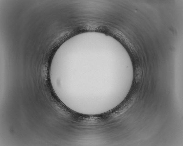 X0000112110497200908251215