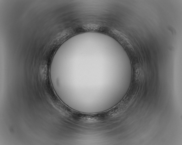 X0000112110498200908251214