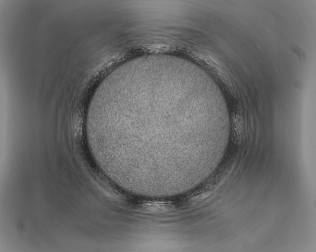 X0000112110499200908251214