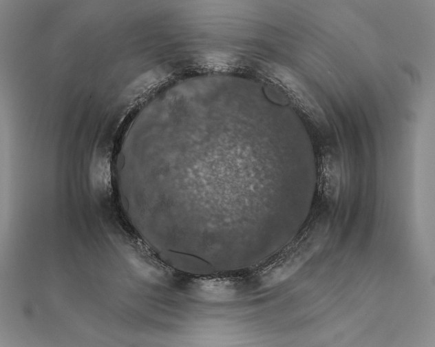 X0000112110500200908251214