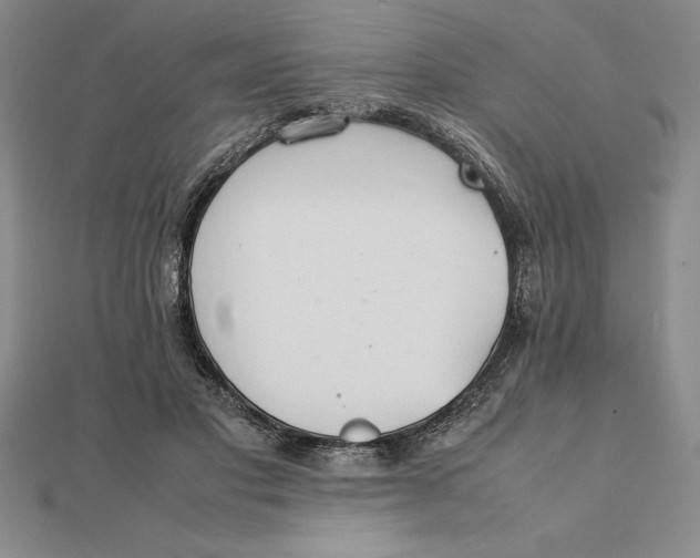 X0000112110501200908251214