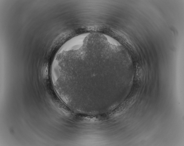 X0000112110502200908251214