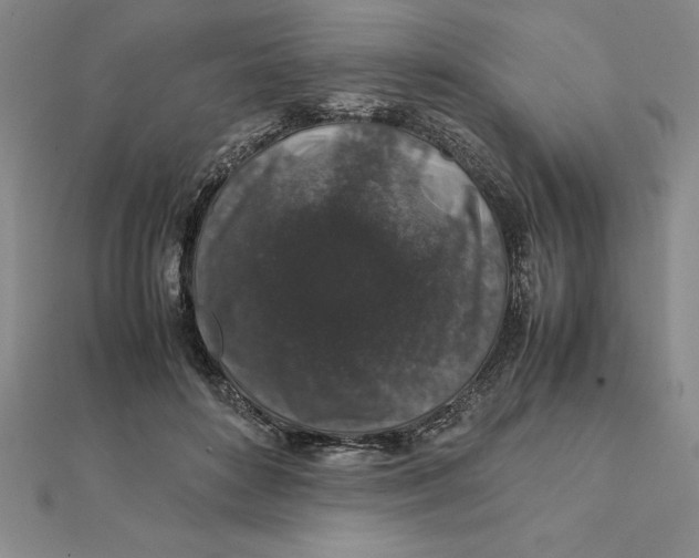 X0000112110504200908251214