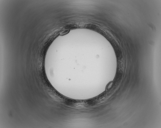 X0000112110505200908251214