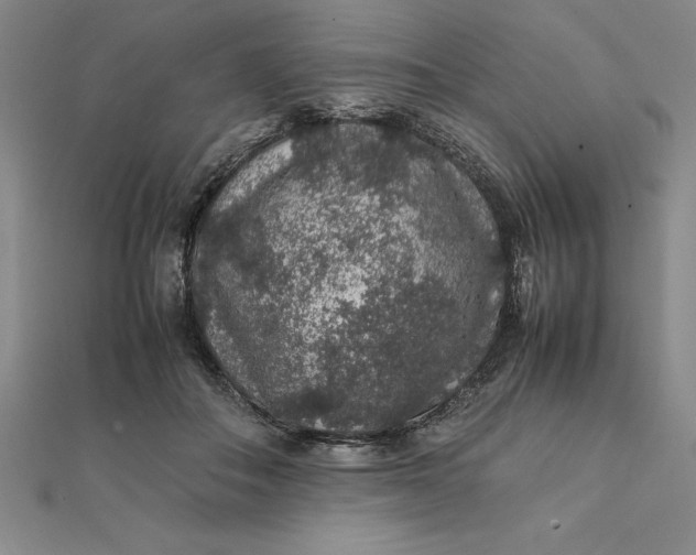 X0000112110506200908251214