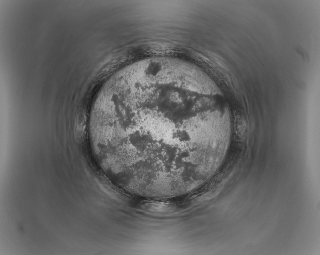 X0000112110507200908251214